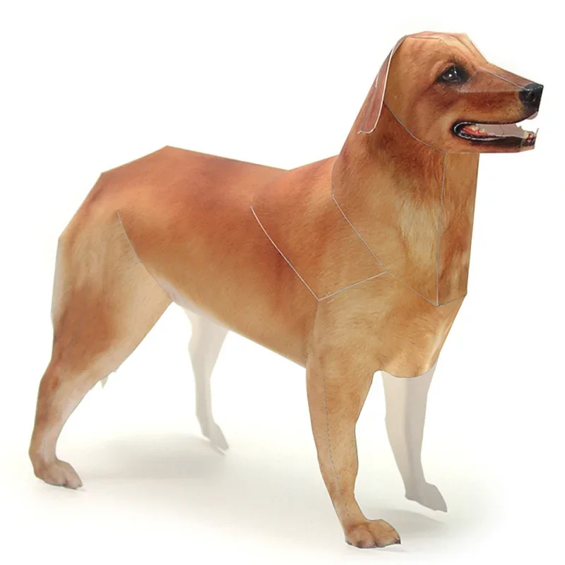 Art Craft Cardboard - Model Kertas Anjing Golden Retriever Seni