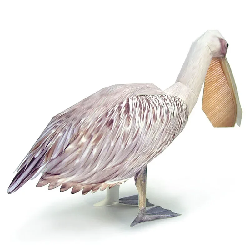Model Kertas Burung Pelican Pu - Art Craft Cardboard ulasan dan harga